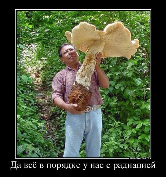 Да всё в порядке у нас с радиацией