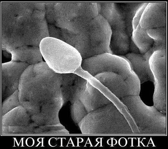 отісА Моя ЁТАРАЯ Ф