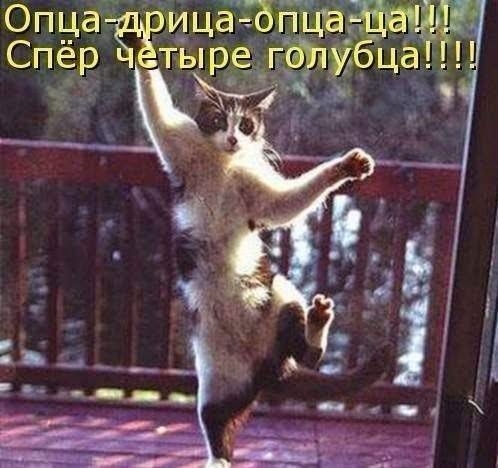 Опца ищё35 СПёР тыр
