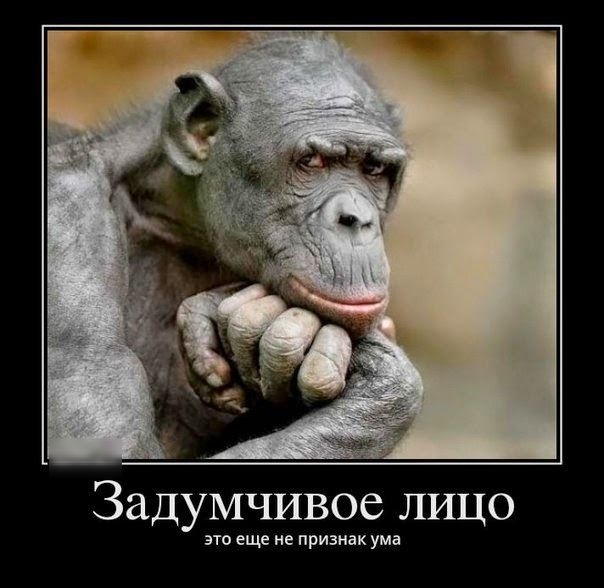 Задумчивое лицо это еще не признак ума