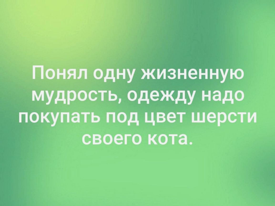 л одну жизненную мудрость одежду надо покупать под цвет шерсти своего кота