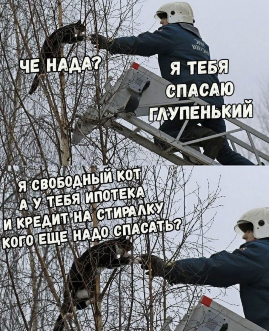 пЁнькии ь