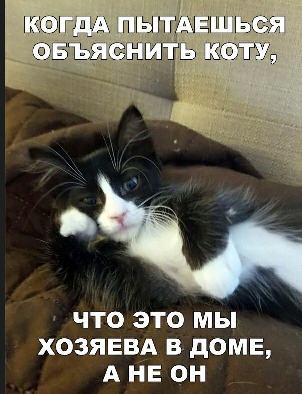 гдд ЁАЕЬ ЧТО ЭТО МЫ ХОЗЯЕВА В дОМЕ А НЕ ОН