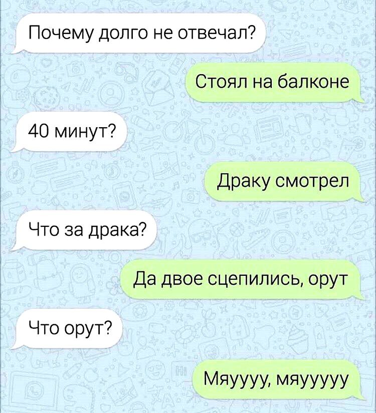 Почему долго не отвечал 40 минут Что за драка Что орут