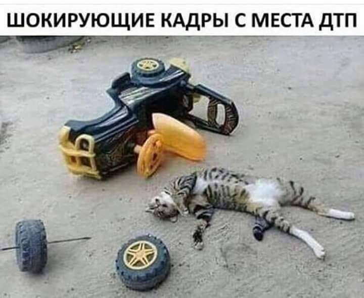 ШОКИРУЮЩИЕ КАДРЫ С МЕСТА дТП