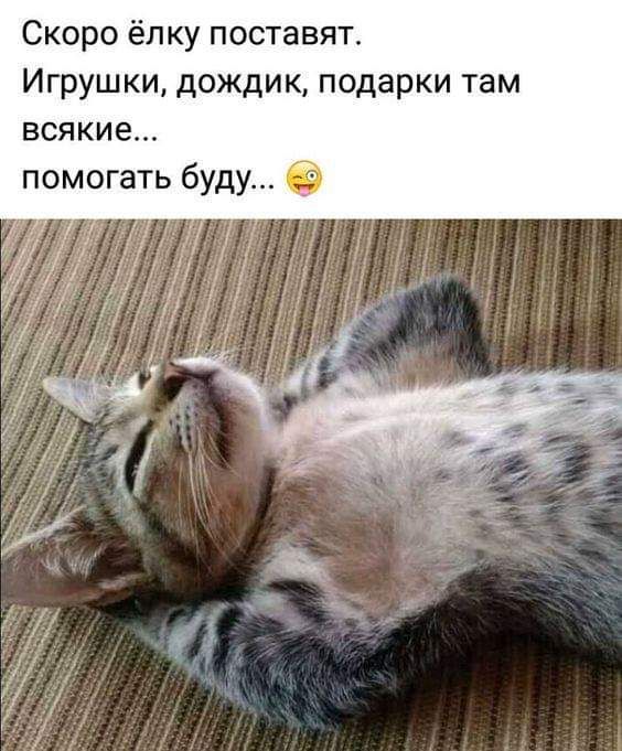 Скоро ёлку поставят Игрушки дождик подарки там всякие помогать буду и