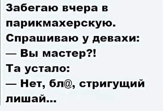 Забегаю вчера в парикмахерскую Спрашиваю у девахи Вы мастер Та устало Нет бл стригущий лишай