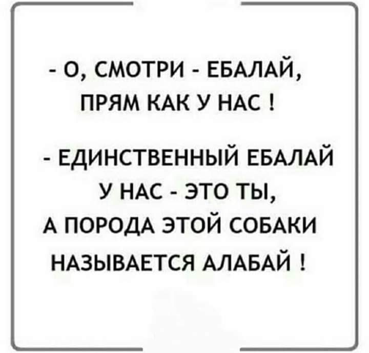 о смотри ЕБАЛАЙ прям КАК у НАС Единственный ЕБАЛАЙ у НАС это ты А ПОРОДА этой СОБАКИ НАЗЫВАЕТСЯ АЛАБАЙ