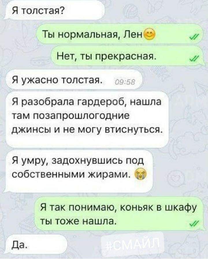Я толстая Ты нормальная Лене Нет ты прекрасная Я УЖЭСНО ТОЛСТЗЯ Я разобрала гардероб нашла там позапрошлогодние джинсы и не могу втиснуться Я умру задохнувшись под собственными жирами Я так понимаю коньяк в шкафу ты тоже нашла
