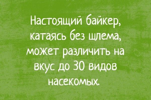 Настоящий байкер катаясь без шлема может различить на вкус до 30 видов насекомых
