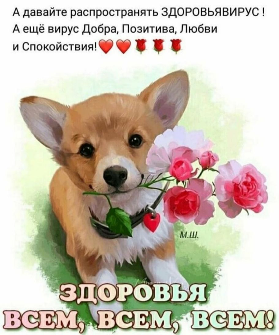 А давайте распространять ЗДОРОВЬЯВИ РУС А ещё вирус добра Позитива Любви и Спокойствия с Ё в