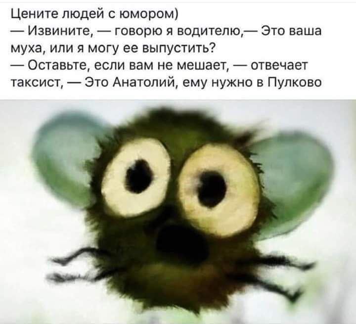 Цените людей с юмором Извините говорю я водителю Это ваша муха или я могу ее выпустить Оставьте если вам не мешает отвечает таксист Это Анатолий ему нужно в Пулково