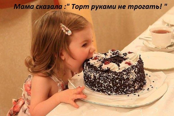 Торт руками не трогать