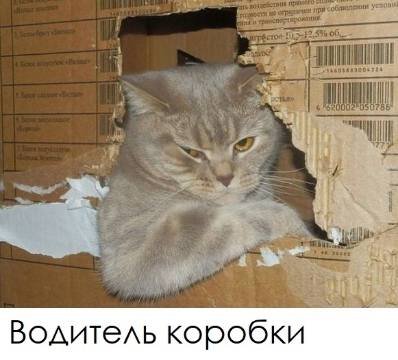 Водитеь коробки
