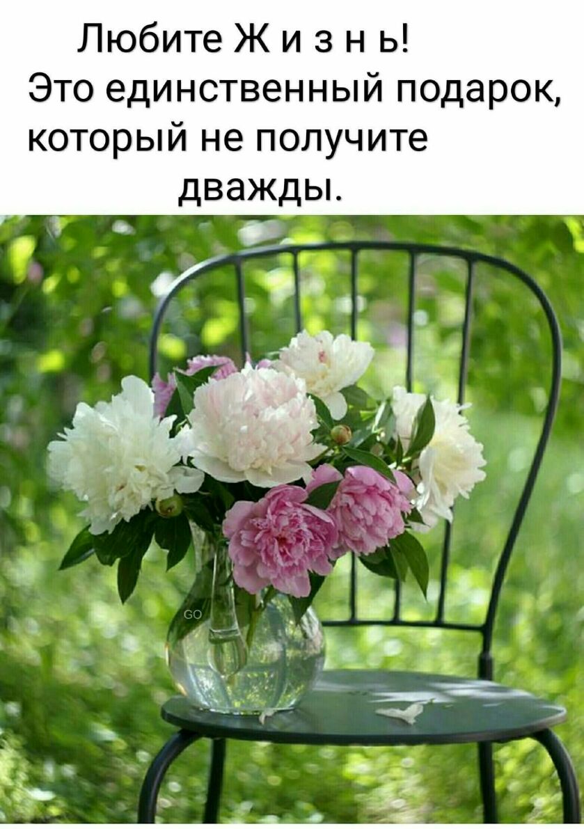 Любите Ж и з н ь Это единственный подарок который не получите дважды