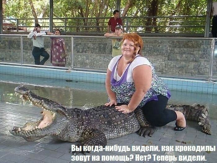 Вы отдадимдьтщ т на т