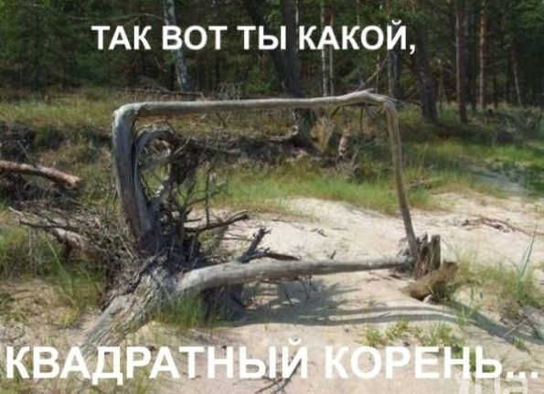 ТАК Вот ты кАкой