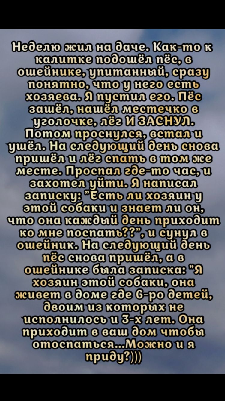 шв 9 ш Піёэ 9 уголочке Ш Потом проснулся 111 т шеаю ш Шиншин записку гипатит каждый день поспать суп следующий ень снова 619 записка собакш живет от басамию Ш8ЁЁ1Ш е чтобы отоспатьсяЁМожно РдЧ