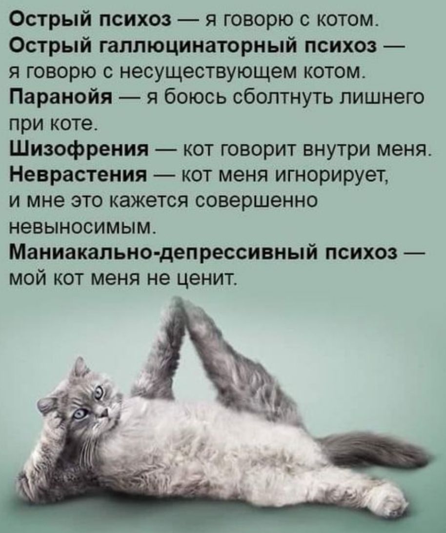 Острый психоз я говорю с котом Острый галлюцинаторный психоз я говорю с несуществующем котом Паранойя я боюсь сболтнуть лишнего при коте Шизофрения кот говорит внутри меня Неврастения кот меня игнорирует и мне это кажется совершенно невыносимым Маниакально депрессивный психоз мой кот меня не ценит