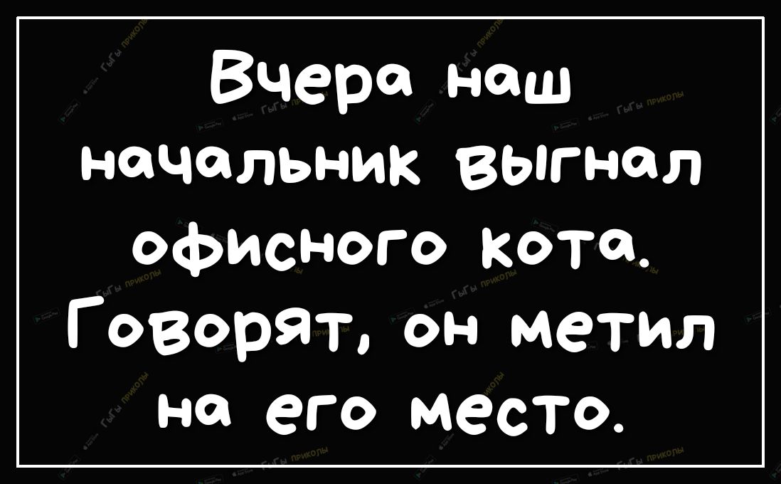 Вчера наш начальник выгнал офисного кото Г овор9т он метил но его место