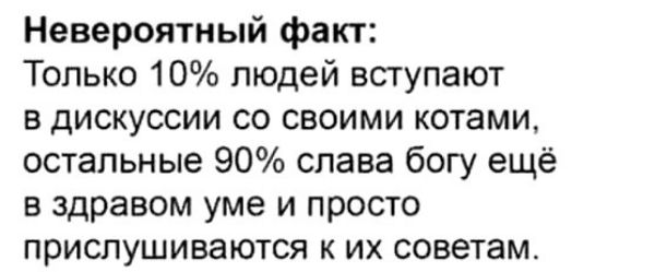 Невероятный факт Только 10 людей вступают в дискуссии со своими котами остальные 90 слава богу ещё в здравом уме и просто прислушиваются к их советам