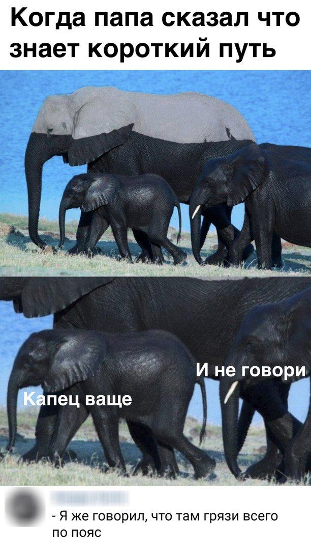 Когда папа сказал что знает короткий путь Я же говорил что там грязи всего по пояс