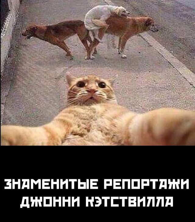 ЗНПИЕННТЫЕ РЕППРТПЖН дЖПННН НЭТЕТВНППП