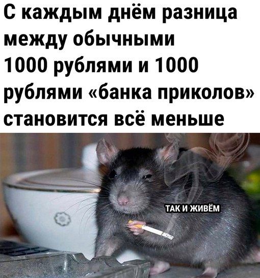 С каждым днём разница между обычными 1000 рублями и 1000 рублями банка приколов становится всё меньше