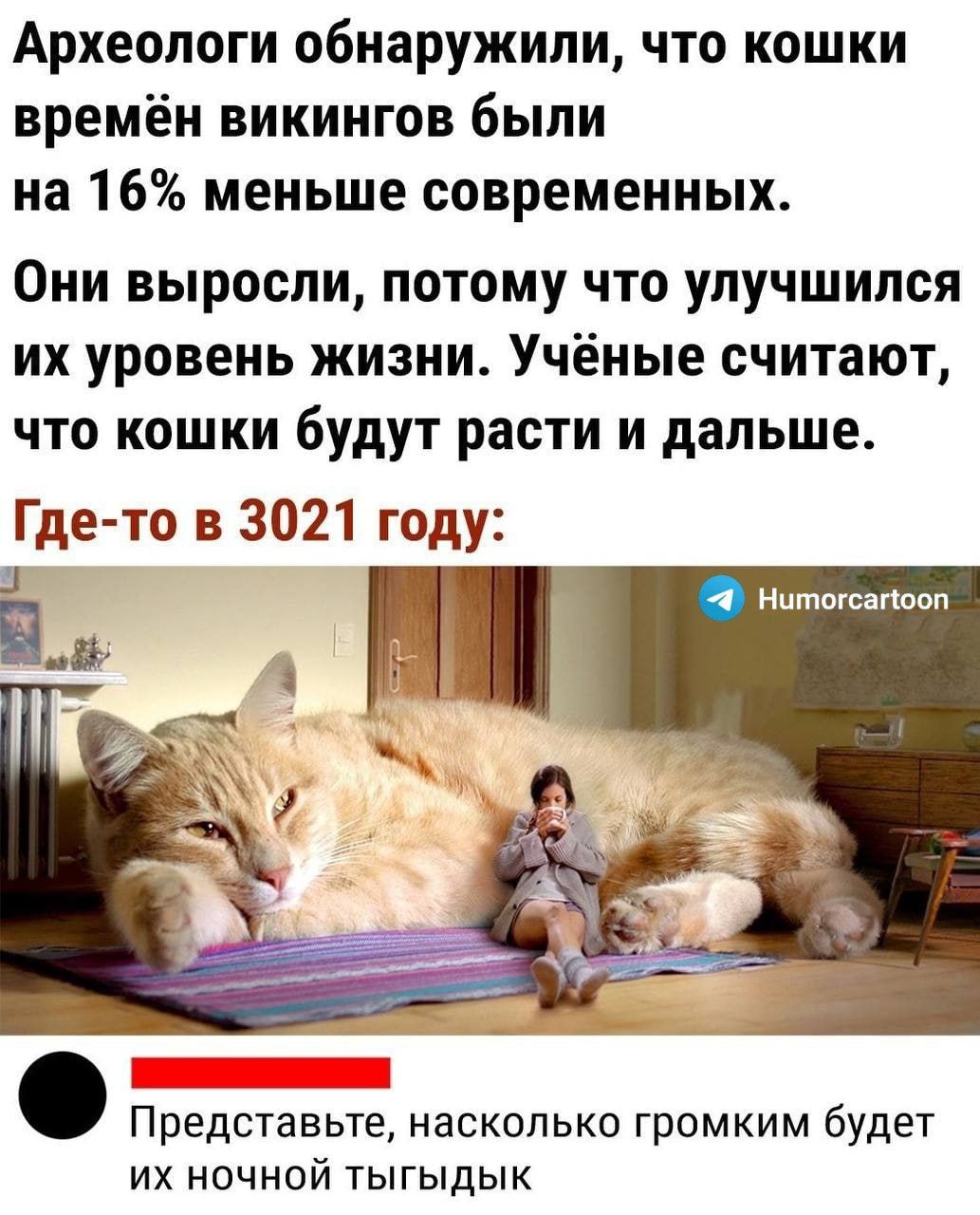 Археологи обнаружили что кошки времён викингов были на 16 меньше современных Они выросли потому что улучшился их уровень жизни Учёные считают что кошки будут расти и дальше Где то в 3021 году Нчтогсапооп Представьте насколько громким будет их ночной тыгыдык