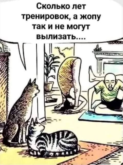 Сколько лет тренировок а жопу так и не могут вылизать _ кг 1