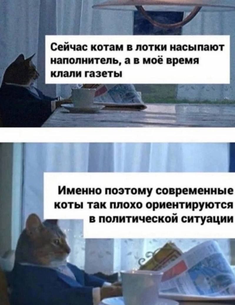 Сейчас котам ПОТКИ МБНМЮТ наполнитель а МОЁ ВРЕМЯ ММП ТЗЗЕТЦ Именно поэтому современные коты тян плохо ориентируются политической ситуации