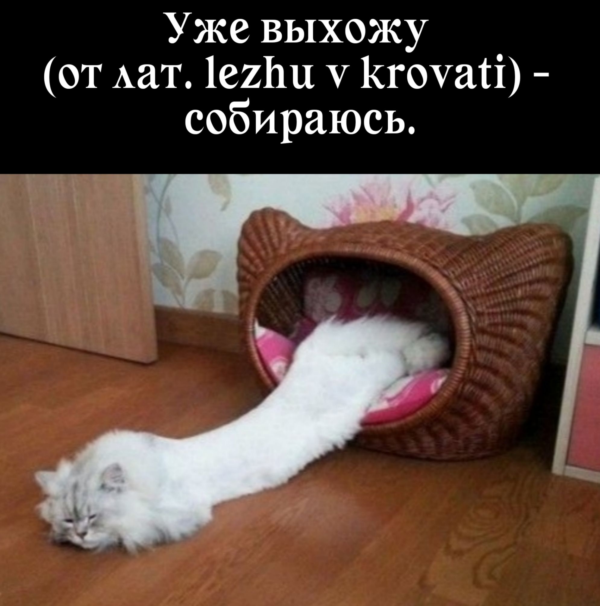 ч Уже выхожу от Аат ей У Кгочаті собираюсь