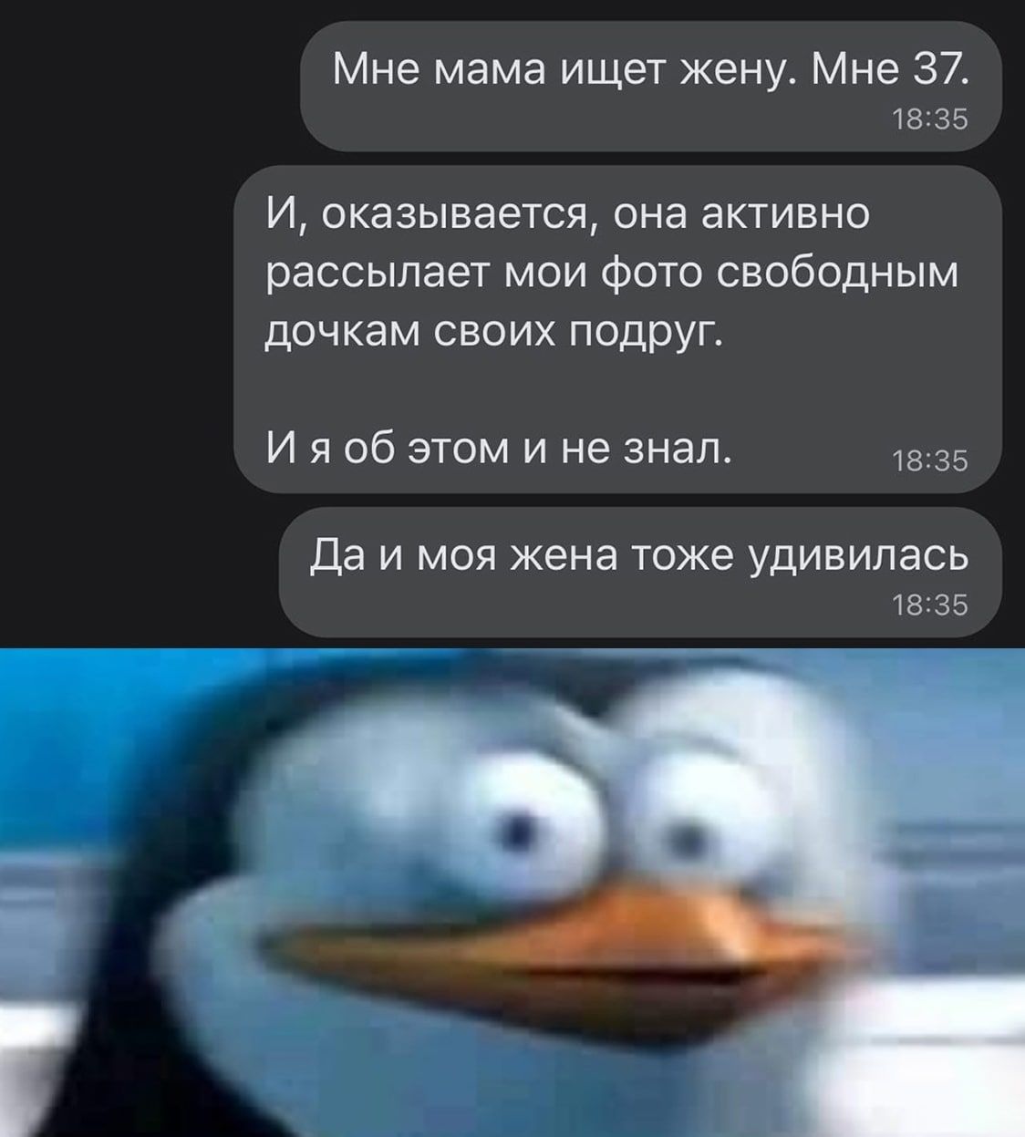 Мне мама ищет жену Мне 32 18 35 И оказывается она активно рассылает мои фото свободным дочкам своих ппдруг И я об этом и не знал 18 35 Да и моя жена тоже удивилась та 35