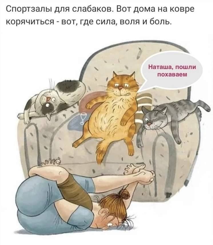 Спортзалы для слабаки Вот дома на ковре корячиться вот где сила воля и боль Наташа пошли пением