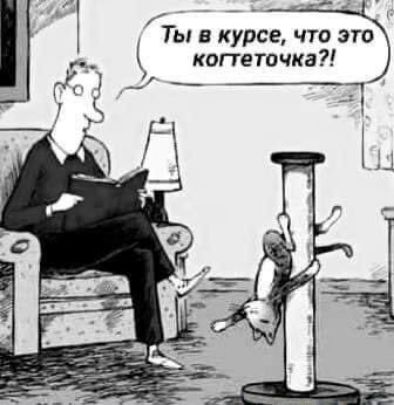 ТЫ В КУРСЕ ЧУО ЭТО копеточка 1 ___