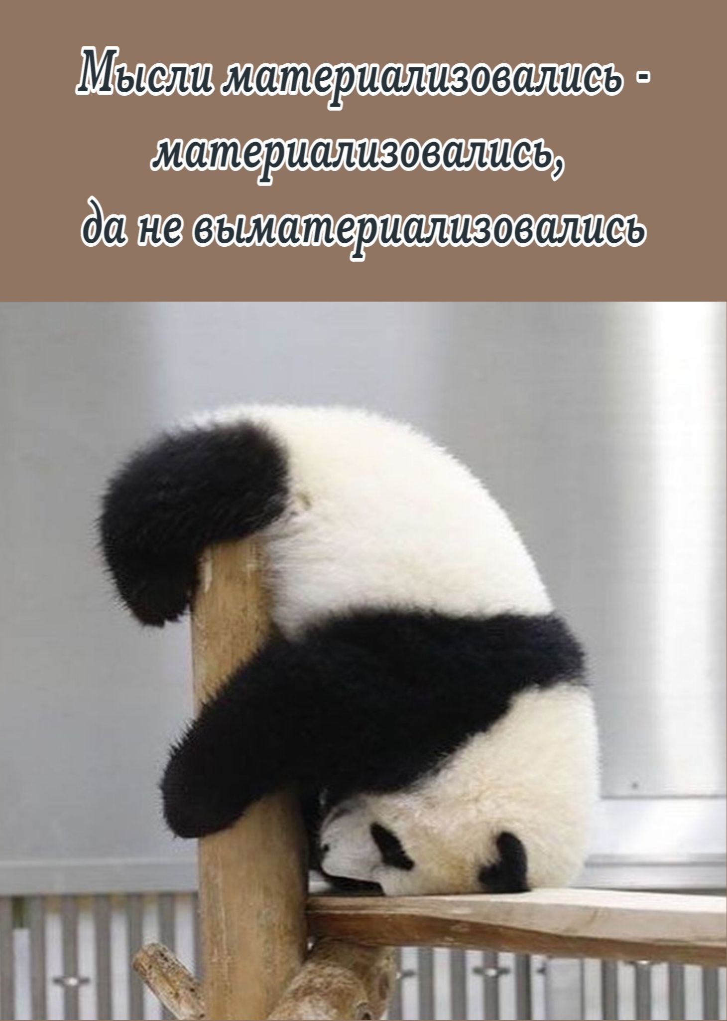 Мысли материализовались материализовались да не выматериализовались