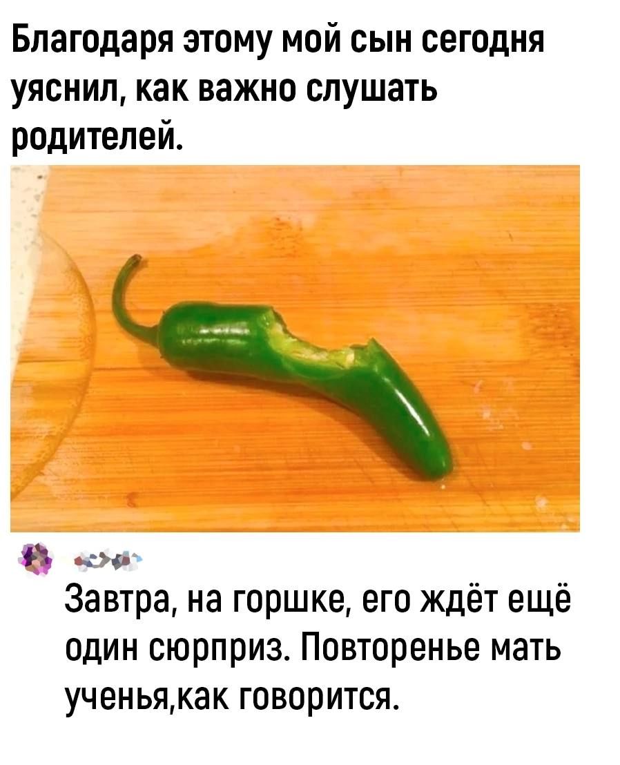 Благодаря этому мой сын сегодня уяснил как важно слушать родителей Завтра на горшке его ждёт ещё один сюрприз Повторенье мать ученьякак говорится