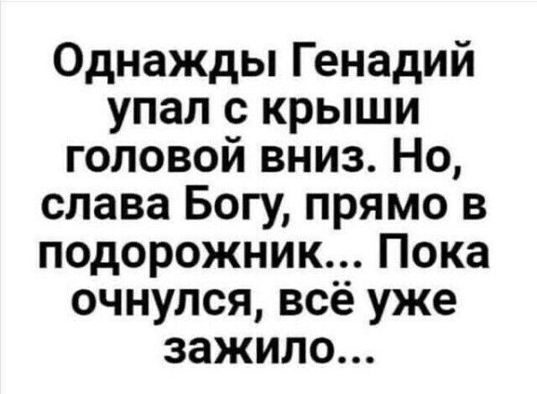 Однажды Генадий упал с крыши головой вниз Но слава Богу прямо в подорожник Пока очнулся всё уже зажило