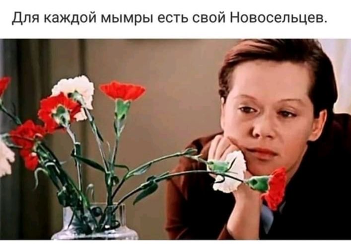 Для каждой мымры есть свой Новосельцев