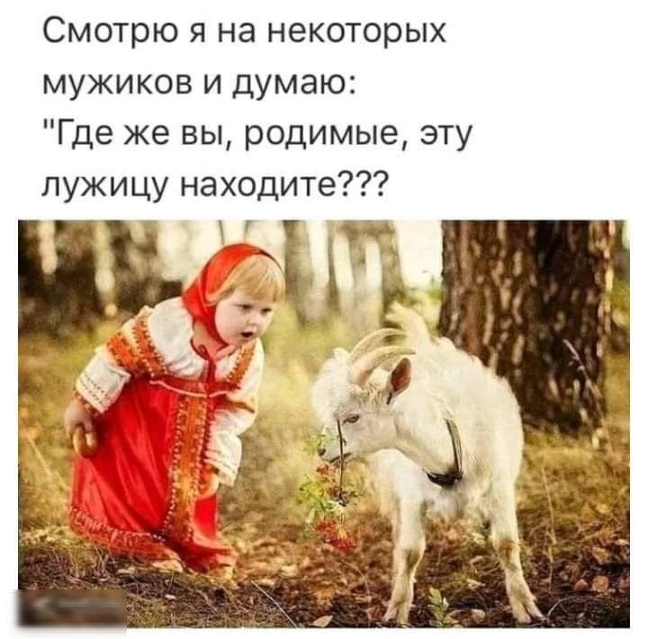 Смотрю я на некоторых мужиков и думаю Где же вы родимые эту лужицу находите РА і Ё д 3 _ д пдд р іі