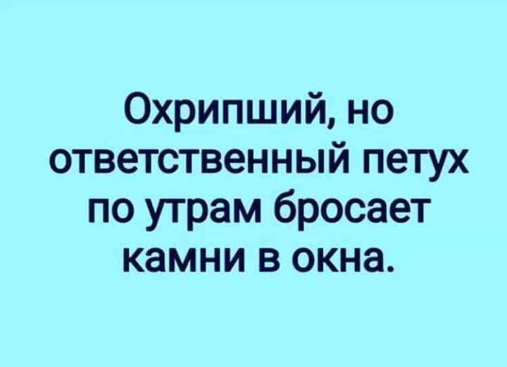 Охрипший но ответственный петух по утрам бросает камни в окна