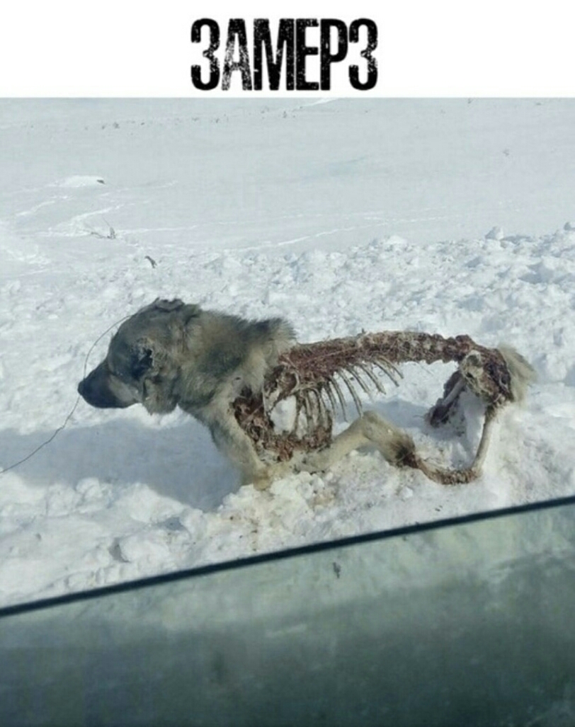 ЗАМЕРЗ