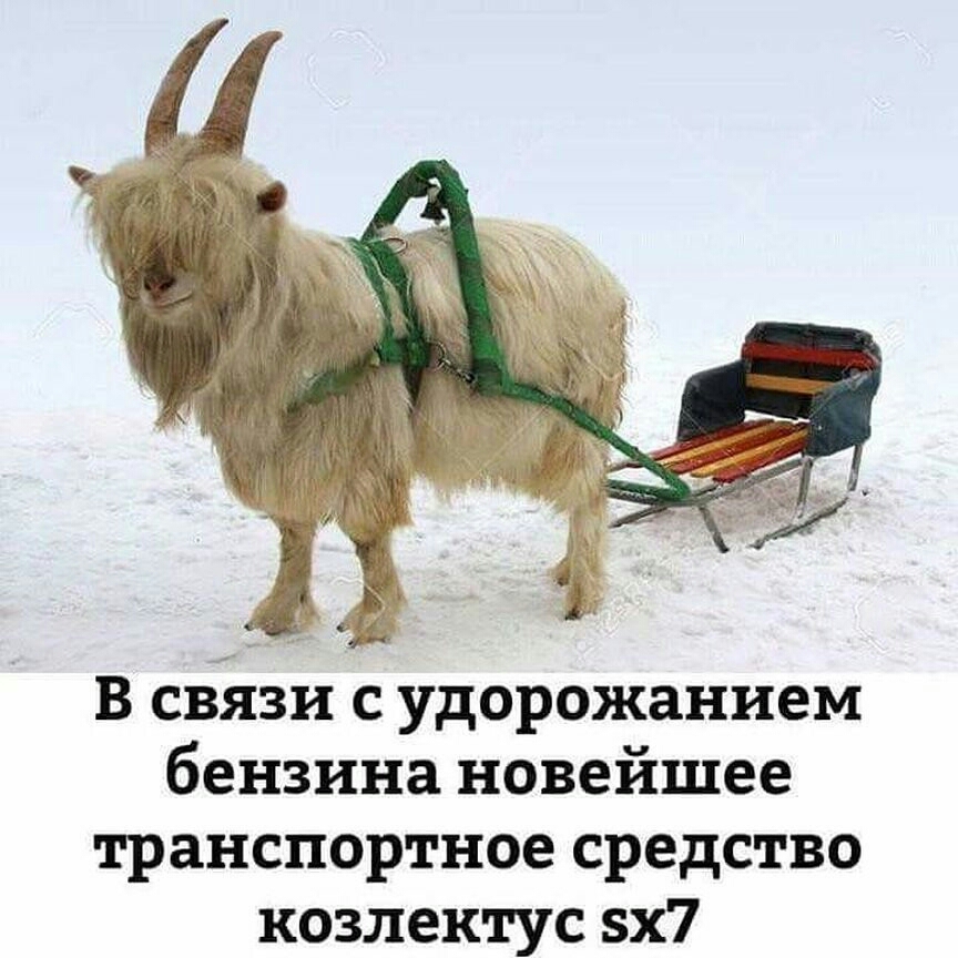 В связи с удорожанием бензина новейшее транспортное средство козлектус 5х7