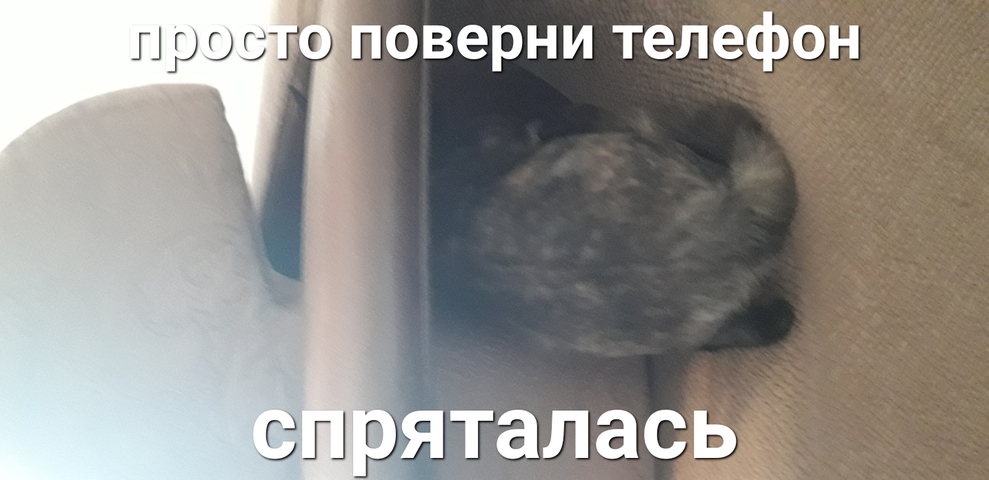 ПРОВ поверни телефон Ёы