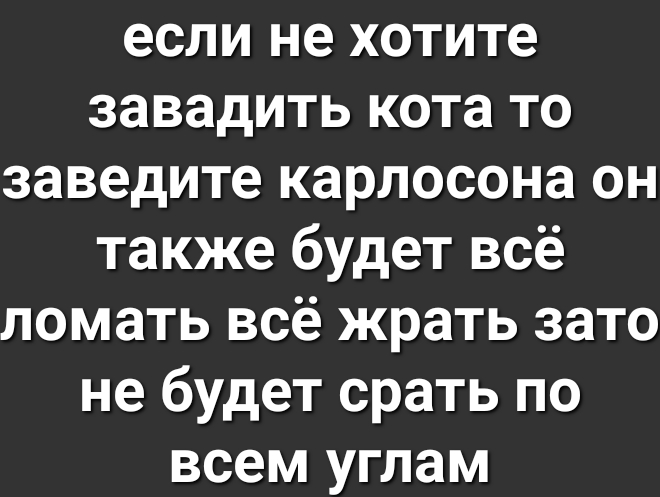 если не хотите завадить кота то заведите карлосона он также будет всё ломать всё жрать зато не будет срать по всем углам