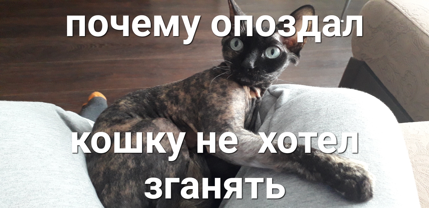 почему ойоздал ошку н