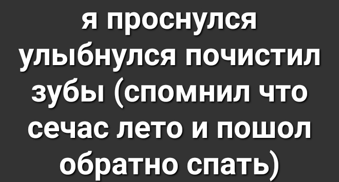 я проснулся улыбнулся почистил зубы спомнил что сечас лето и пошол обратно спать