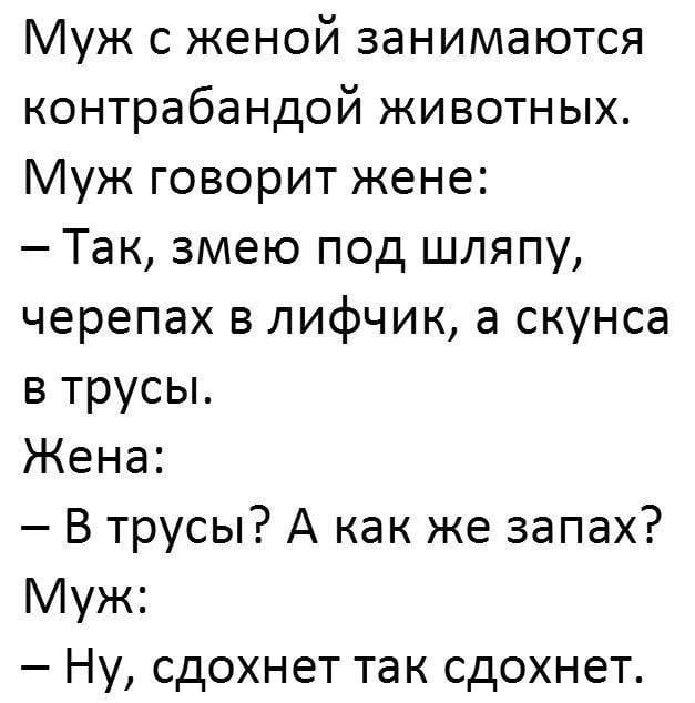 Муж с женой занимаются контрабандой животных Муж говорит жене Так змею под шляпу черепах в лифчик а скунса в трусы Жена В трусы А как же запах Муж Ну сдохнет так сдохнет
