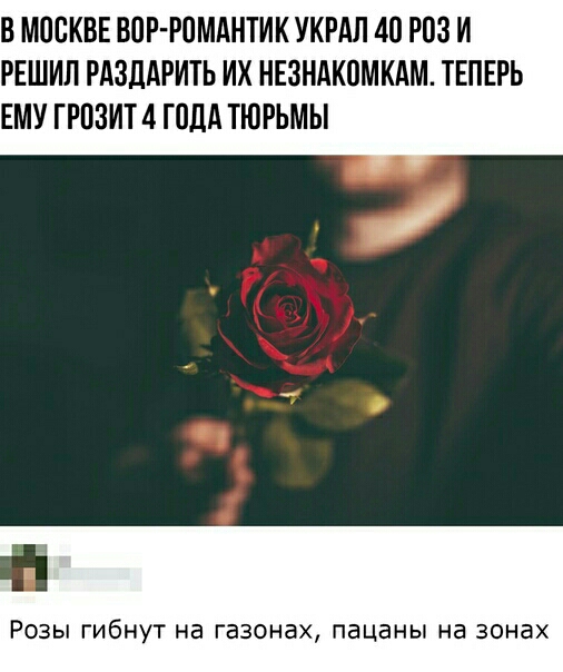 В МОСКВЕ ВПР РОМАНТИК УКРАЛ 40 РВЗ И РЕШИЛ РАЗДАРИТЬ ИХ НЕЗНАКПМКАМ ТЕПЕРЬ ЕМУ ГРОЗИТ 4 ГПДА ТЮРЬМЫ РОЗЫ ГИбНУТ на ГВЗОНЗХ ПЭЦВНЫ на ЗОНЗХ