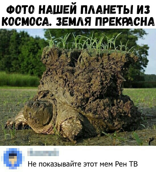 ФОТО НАШЕЙ ПААНЕТЫ ИЗ КОСМОСА ЗЕМАЯ ПРЕКРАСНА іі Не показывайте этот мем Рен ТВ